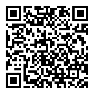 QR Code Eventi
